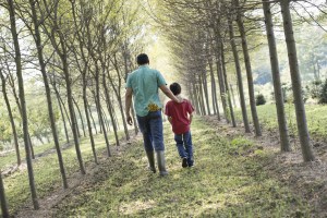 A man and a young boy walking down an avenue of trees.